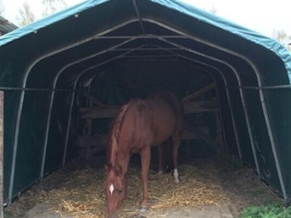  Horse shelter livestock house 